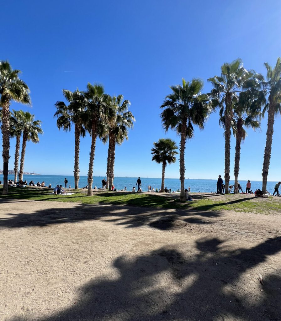 Hoge palmbomen en mensen op het gras langs het strand van Málaga, met de zee op de achtergrond