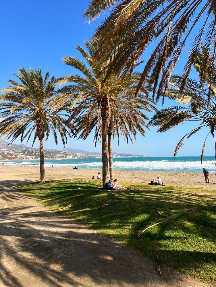 gids-malaga2