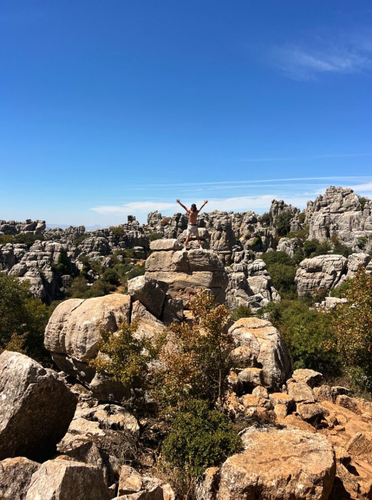gids-torcal1