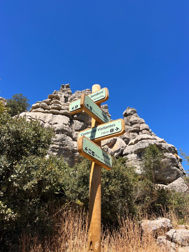 gids-torcal2